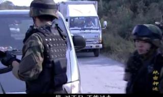 男子高速爆胎让老妈站车后 男子高速爆胎让老妈站车后