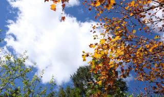 去九寨沟住宿在哪里比较好