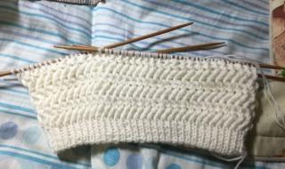 阿尔巴尼亚针的织法