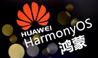 p40怎么升级鸿蒙系统 p40怎么升级鸿蒙系统