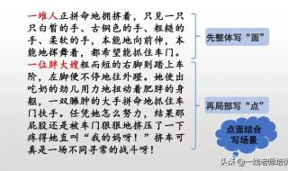 六年级上册《多彩的活动》 六年级上册《多彩的活动》