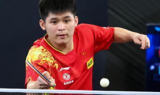 德班世乒赛女单冠军出炉