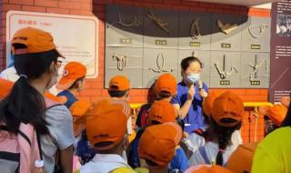 暑期安全第一课视频 暑期安全第一课视频