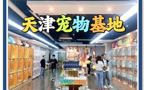 社区宠物托儿所(宠物托儿所市场)
