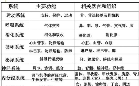 人体八大系统(人体八大系统和九大系统的区别)