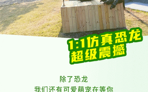 云养恐龙可行性研究报告(养育恐龙专业)