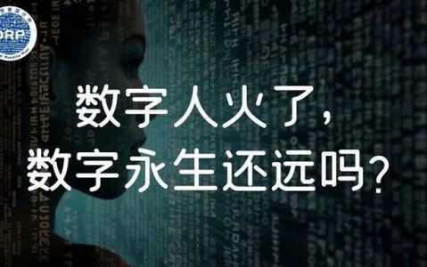 数字永生导致的人口危机(数字永生公司)