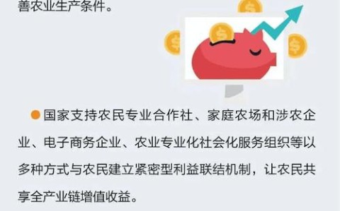 乡村振兴(乡村振兴促进法)