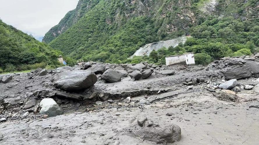 泥石流(泥石流灾害)