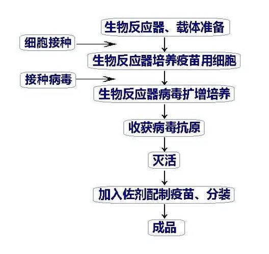 疫苗研发流程(疫苗研发流程图)
