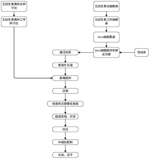 疫苗研发流程(疫苗研发流程图)
