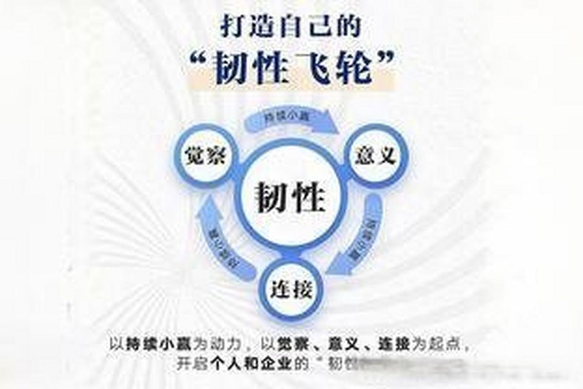 组织韧性建设(组织韧性是什么意思)