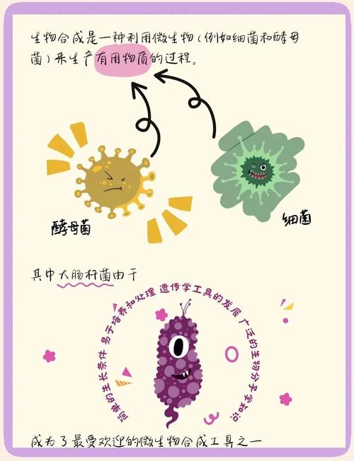 合成生物学(合成生物学专业)