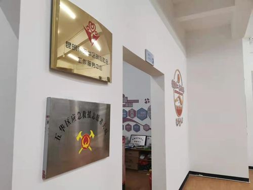 家暴庇护所闲置(家庭暴力临时庇护所制度)