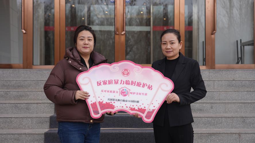 家暴庇护所闲置(家庭暴力临时庇护所制度)