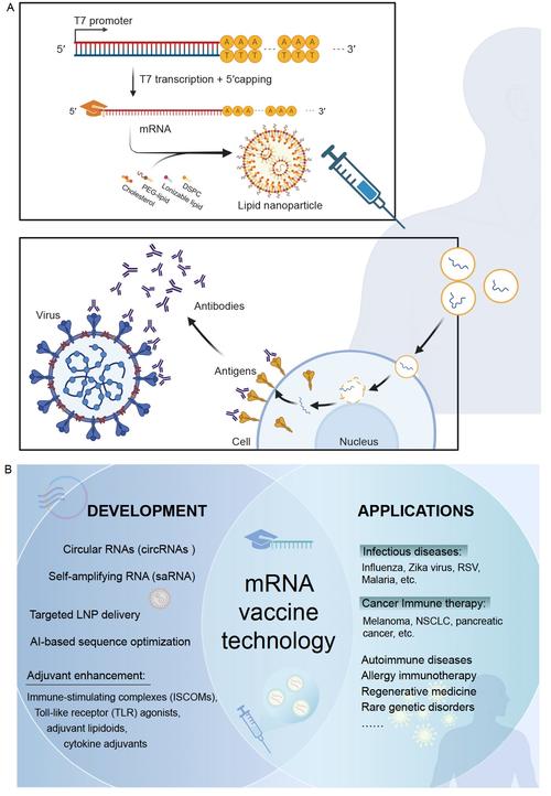 疫苗工作原理(疫苗工作原理是什么)