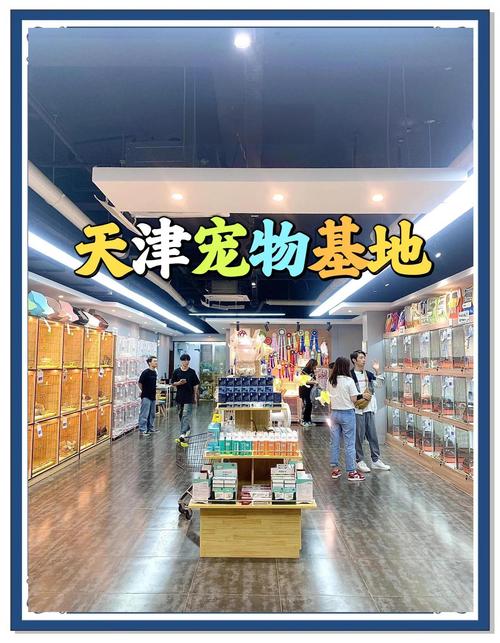 社区宠物托儿所(宠物托儿所市场)