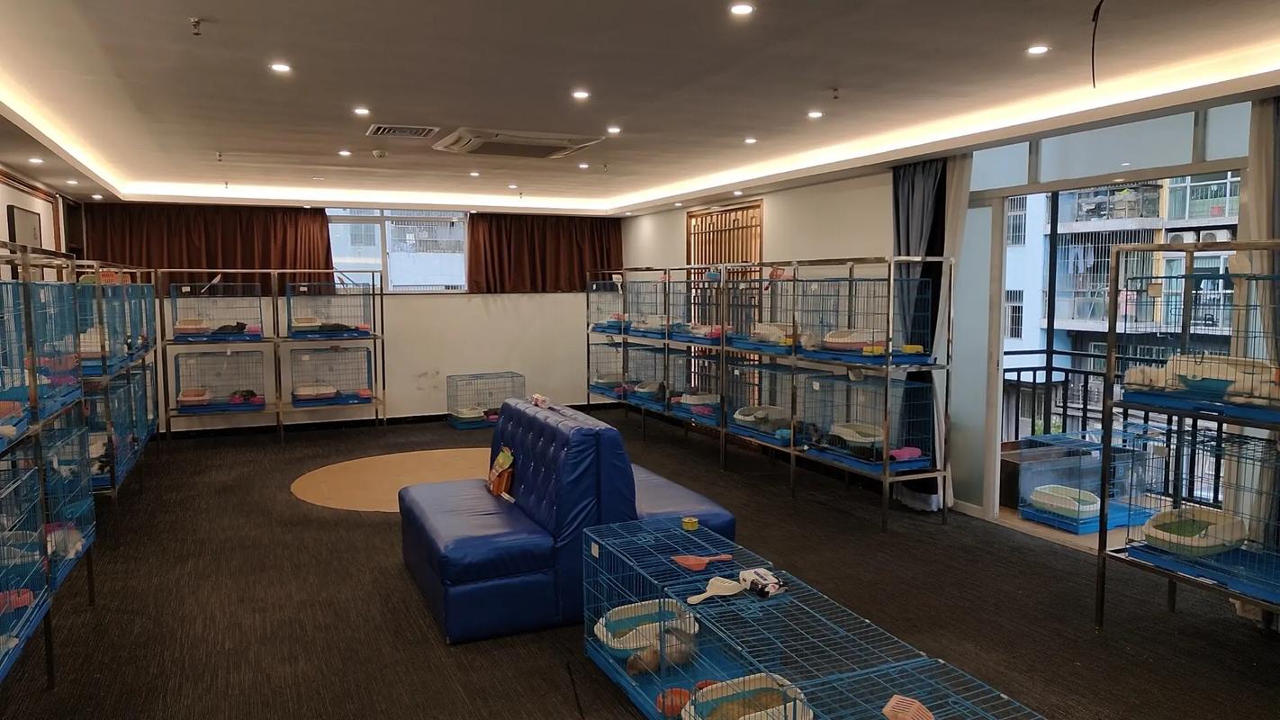 社区宠物托儿所(宠物托儿所市场)