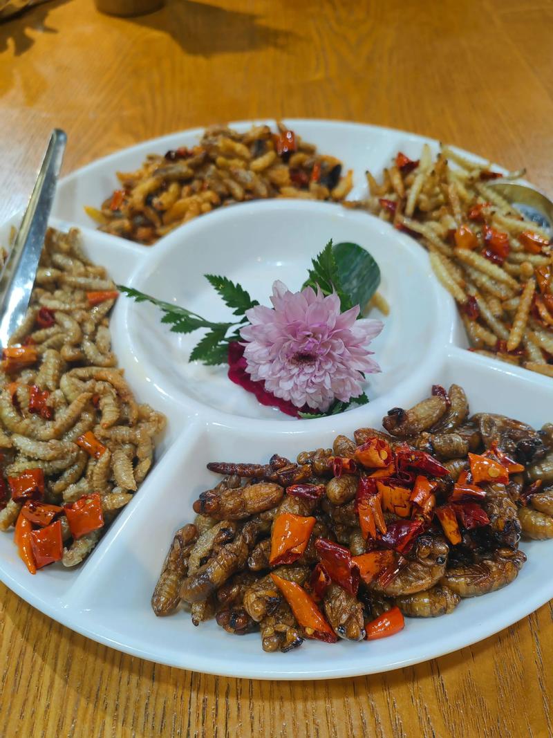 昆虫美食节试吃(昆虫类美食)