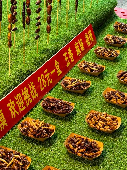 昆虫美食节试吃(昆虫类美食)