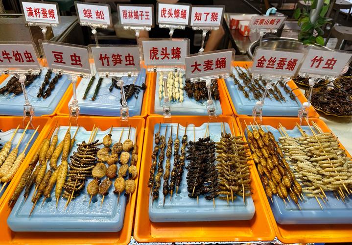 昆虫美食节试吃(昆虫类美食)