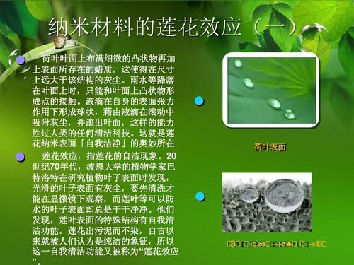 纳米技术应用(纳米技术应用在生活中的例子)