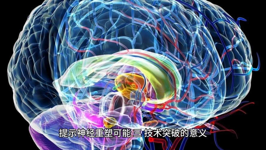 脑机接口伦理(脑机接口伦理争议事件有哪些)