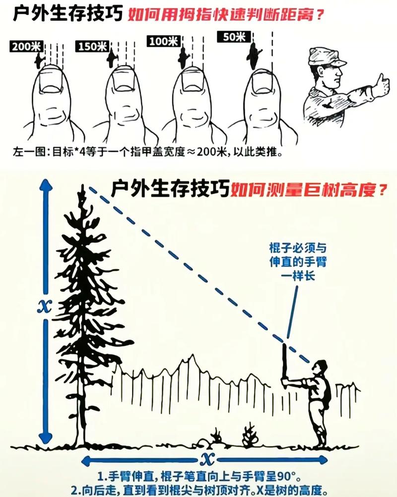 野外求生技能(野外求生技能技巧)