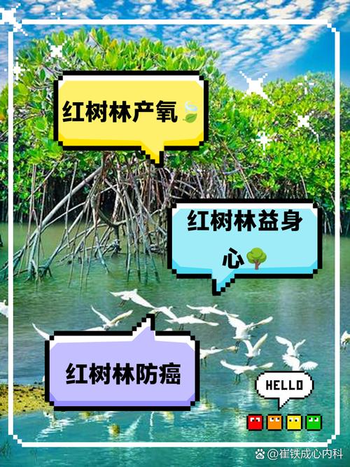 红树林保护争议(红树林是否划入生态保护红线)