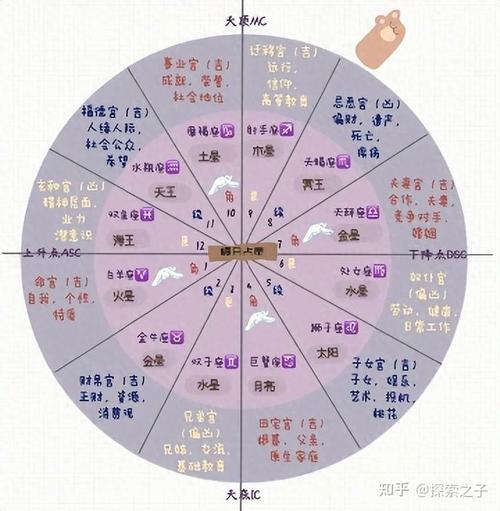 星座信仰的统计学基础(星座算信仰吗)