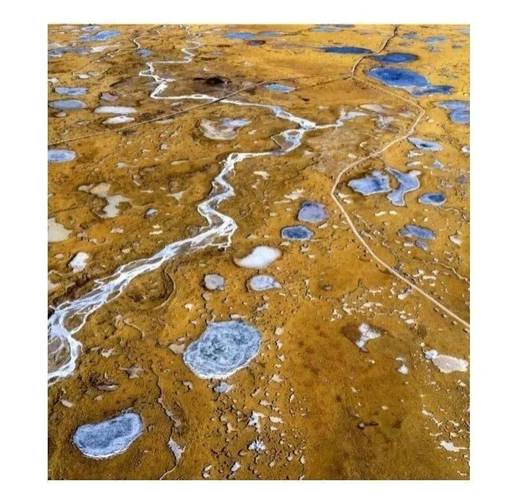 青藏高原的甲烷气泡湖(青藏高原水汽充足吗)